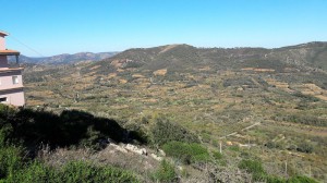 Autonoleggio - Ncc - Lobina Di Ivan Lobina