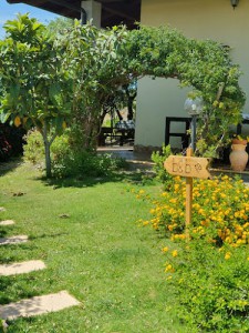 B&B Ottoulivi