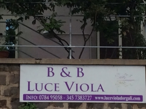 B&B Luce Viola