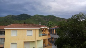 Canne al vento
