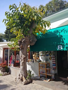 B&B Anacapri