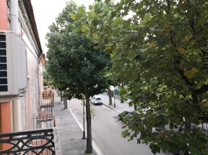 Palazzo Salvi