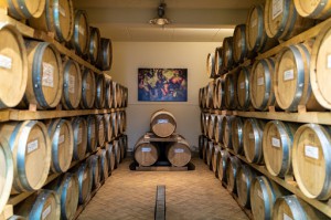 Montioni - Frantoio e Cantina