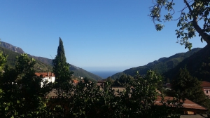 Villa Citarella