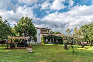 The Forest House B&B