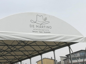 Azienda Agricola De Martino