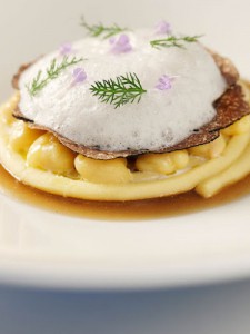 Osteria Arbustico