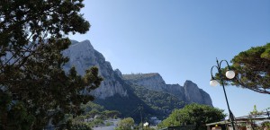 SALUMERIA ROSTICCERIA CAPRI VERDE