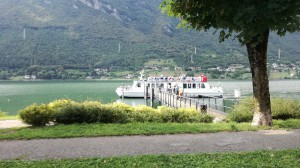 B&B Tulipano