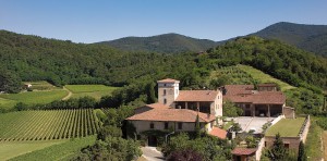 Azienda Agricola Lo Sparviere