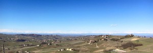 Tenuta Belvedere