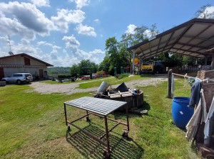 Il Nespolo Del Nonno
