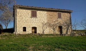 Azienda Agricola Carmela Colavecchio