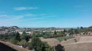 Albero Fiorito