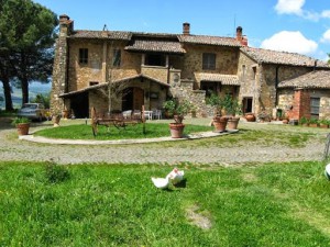 Le Roghete