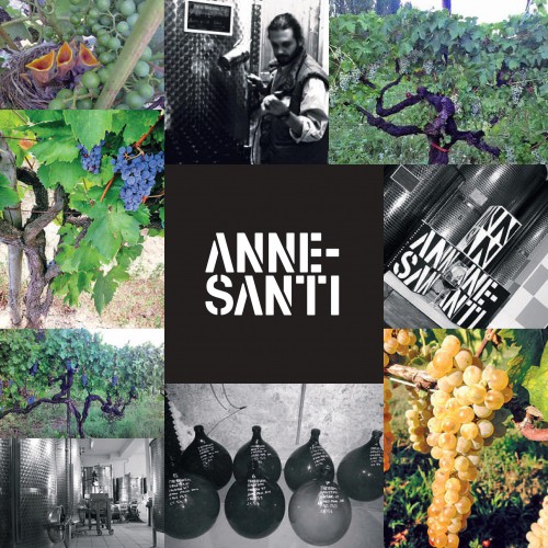 CANTINA ANNESANTI