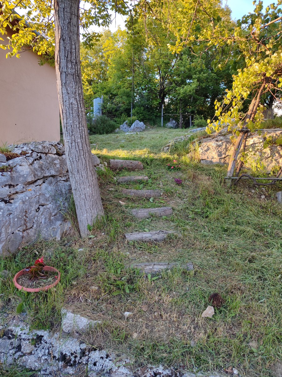 Giardino