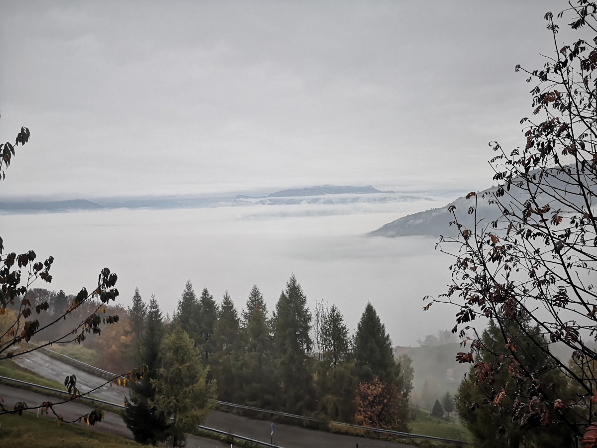 Nebbia in valle 