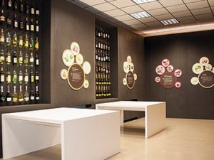 Museo del Vino dei Colli Euganei - MUVI