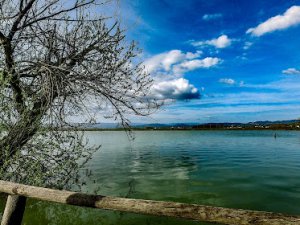 Lago I Salici - Smart Park