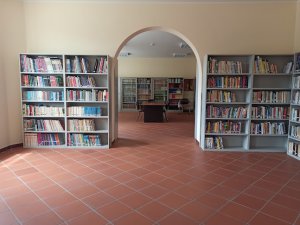 Biblioteca Helle Busacca