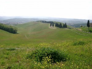 Parco Collinare di Canonica