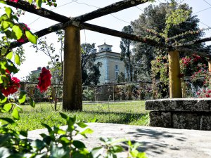 Giardini Bassi di Palazzo Farnese