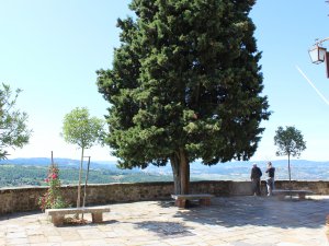 Belvedere del Torrione e Castel Brandetto