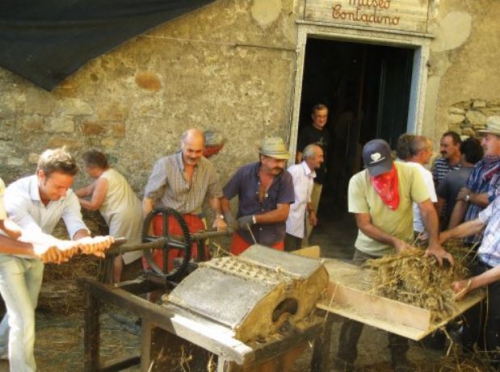 Museo Diffuso della Cultura Contadina - Eco Museo dell'Alta Val Petronio