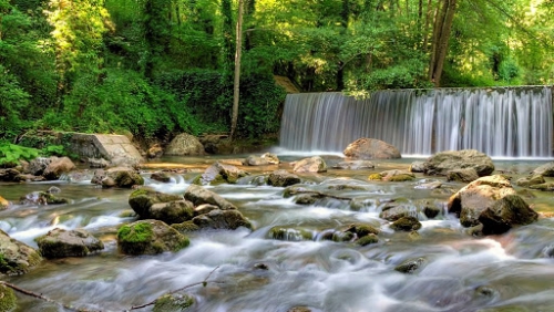 Torrente Peschiera nel Bosco Magnano