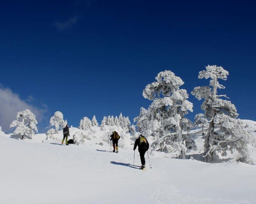 Monte Pollino (escursioni, ciaspolate)