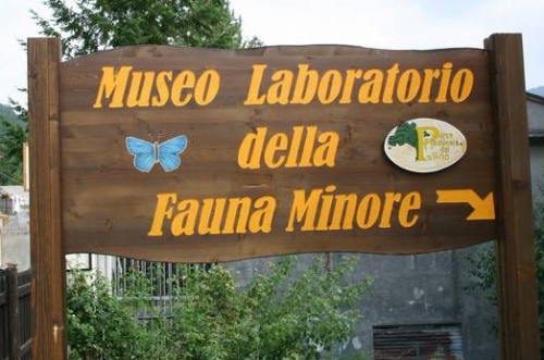 Museo Laboratorio della Fauna Minore