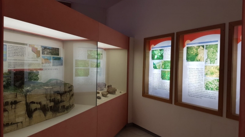 Esposizione di Cronologia geologico-paleontologico