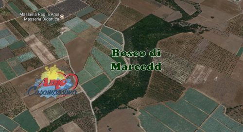 Bosco di Marcedd