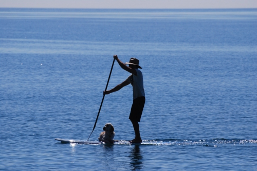 SUP - Stand Up Paddle - presso il Lago di Vico