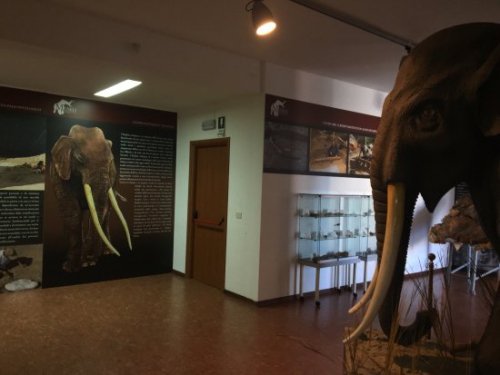 Museo Naturalistico e Paleontologico