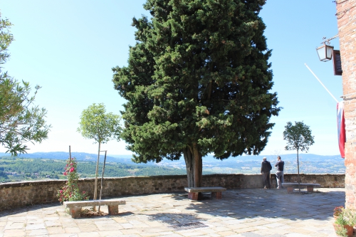 Belvedere del Torrione e Castel Brandetto