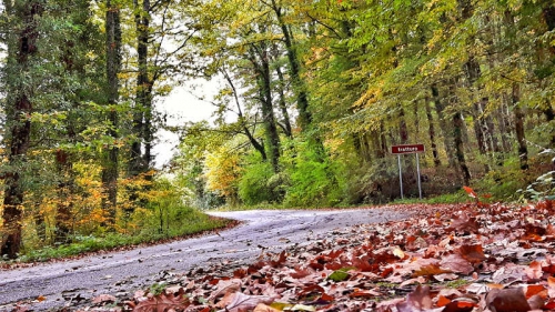 Bosco di Monte Lupone e Chiesetta rurale di S. Nicola