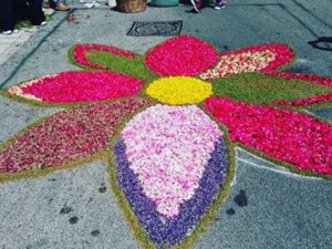 L'infiorata 