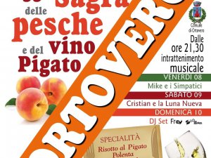 55ª Sagra delle Pesche e del Vino Pigato 2025 – Sapori e musica nel cuore dell’estat