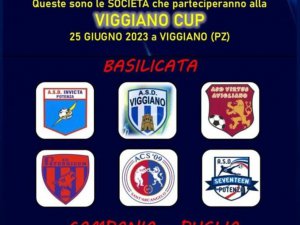 Viggiano Cup Junior