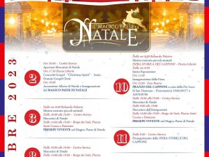 Il Magico Paese di Natale