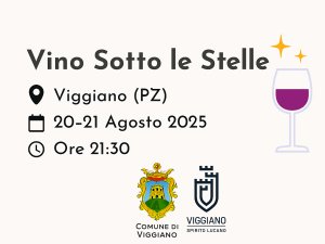 XVI Edizione - Vino Sotto le Stelle a Viggiano – degustazioni e magia nel centro storico