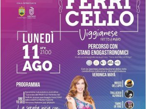X Edizione 2025 - Festa del Ferricello Viggianese