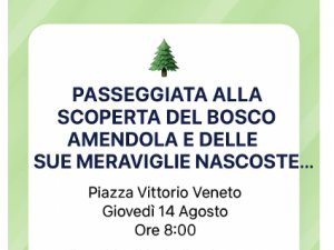 Passeggiata alla scoperta del Bosco Amendola e delle sue Meraviglie Nascoste