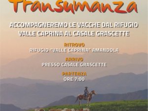 Transumanza nei Monti Sibillini: vivi l’esperienza autentica della pastorizia