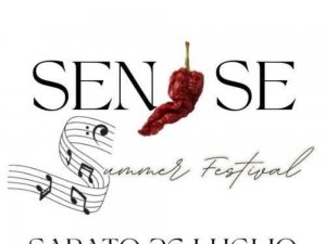 Senise Summer Festival 2025: musica, tradizione e divertimento