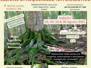 Mindfulness tra i boschi 2025