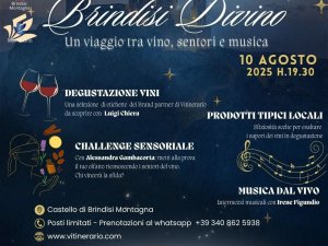 Brindisi Divino 2025 – Un viaggio tra vino, sentori e musica