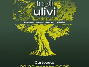 Stiamo tra gli ulivi 2025